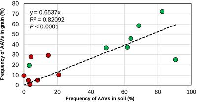 Impact of frequency of application on the long-term efficacy of the biocontrol product Aflasafe in reducing aflatoxin contamination in maize